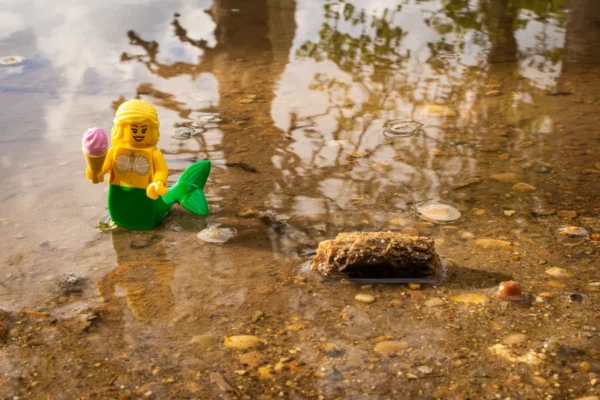 Laurence Givry · 14/03/2026 · 1350 x 900 Cette photographie met en scène une figurine de mermaid (sirène) en plastique comme sujet principal. La composition montre la sirène assise près d’un arbre, dans une eau peu profonde et boueuse.Le cadrage est serré, centré sur la figurine et son environnement immédiat. La lumière semble naturelle, avec des ombres douces et une ambiance légèrement tamisée. Les couleurs dominantes sont les tons verts (sirène et végétation), jaunes (éclairage) et bruns (eau et sol).Le style est simple et réaliste, évoquant une scène presque onirique ou fantastique. L’ambiance est mystérieuse et un peu mélancolique.