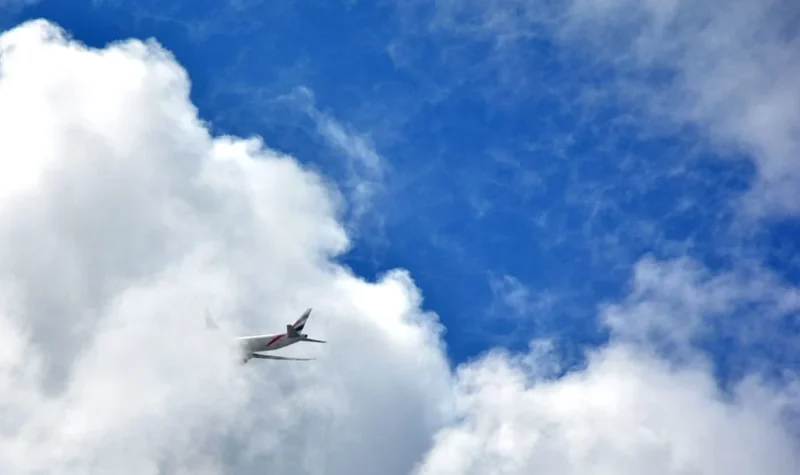 Franck T. · 13/04/2016 · 1000 x 594 Cette photographie met en scène un oiseau en vol, sujet principal, se détachant sur un ciel bleu. La composition est épurée, avec un cadrage serré qui isole l'oiseau parmi les nuages blancs et duveteux. La lumière, naturelle et douce, semble provenir d’une source diffuse, éclairant l’animal et créant un contraste avec les nuages.Les couleurs dominantes sont le bleu du ciel et le blanc des nuages, avec des teintes pastel. Le style est réaliste et naturel, sans retouches apparentes. L’ambiance est paisible et sereine, évoquant la liberté et la légèreté.