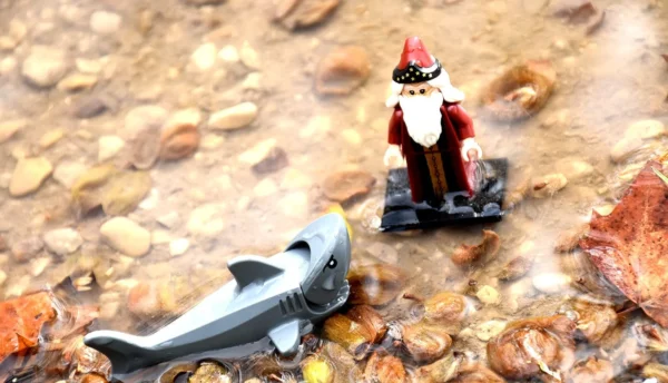 Franck TREBOIT · 15/03/2026 · 1400 x 803 Cette photographie met en scène deux figurines miniatures comme sujets principaux : un bonhomme de neige vêtu de rouge et un dauphin gris. La composition est simple et épurée, avec un cadrage serré sur les figurines posées sur un sol recouvert de petits cailloux colorés.La lumière semble naturelle et douce, mettant en valeur les détails des figurines. Les couleurs dominantes sont les teintes chaudes (rouge, brun) des cailloux et le rouge du bonhomme de neige, contrastant avec le gris métallique du dauphin. Le style est minimaliste et ludique, évoquant une ambiance joyeuse et fantaisiste.