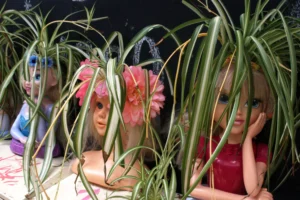 Bao · 5488 x 3664 Cette photographie montre trois poupées ou figurines à tête de plantes, probablement des décors de fête ou des accessoires. Le sujet principal est une figurine centrale avec une tête stylisée en fleur de tournesol.La composition est serrée, avec un cadrage rapproché mettant en avant les détails des têtes végétales. Les couleurs dominantes sont les verts des feuilles et les teintes pastel des fleurs. La lumière semble artificielle, douce et tamisée, créant une ambiance ludique et fantaisiste. Le style est enfantin et décoratif, évoquant une fête ou une ambiance festive.