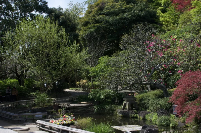 Dominique · 13/04/2024 · 2000 x 1333 Cette photographie représente un **jardin zen japonais**. Le **sujet principal** est un bassin d’eau entouré de rochers et de plantes variées. La **composition** est équilibrée, avec des éléments naturels bien disposés.Le **cadrage** est large, incluant une vue panoramique du jardin. La **lumière** semble naturelle, douce et légèrement tamisée, créant des ombres douces. Les **couleurs dominantes** sont les verts variés, les touches de rouge et de brun des feuilles et rochers.Le **style** est épuré et harmonieux, typique des jardins zen. L’**ambiance** est paisible et apaisante, invitant à la sérénité.