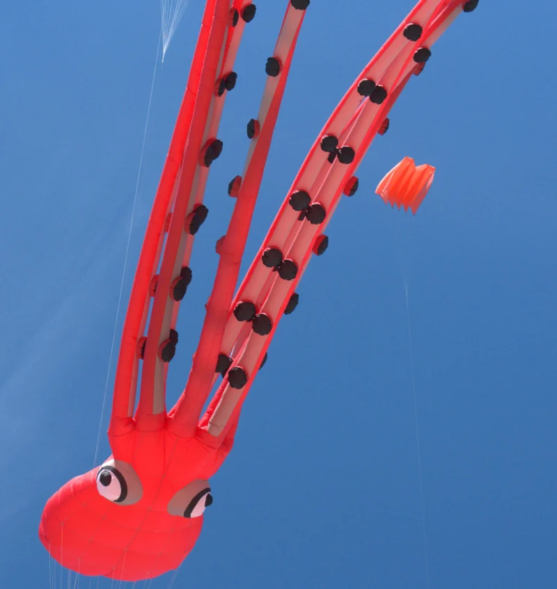 Bao · 2713 x 2871 Cette photographie montre un jouet ou objet en forme de pieuvre rouge volant dans les airs. Le sujet principal est cette pieuvre stylisée, avec ses tentacules flexibles et ses yeux expressifs.La composition est dynamique, avec un cadrage serré mettant en valeur la forme originale. La lumière semble naturelle, éclairant uniformément l'objet sur un fond bleu ciel, créant un contraste saisissant. Les couleurs dominantes sont le rouge vif de la pieuvre et le bleu intense du ciel. Le style est ludique et artistique, évoquant une ambiance joyeuse et fantaisiste.