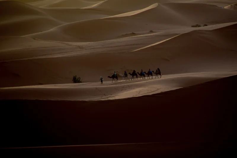 Vincent · 11/10/2022 · 4000 x 2669 Cette photographie capture un groupe de cavaliers traversant une étendue désertique, probablement des dunes de sable. Le sujet principal est les silhouettes des cavaliers et de leurs montures, alignés en file indienne.La composition est épurée, mettant en valeur la ligne horizontale des dunes et la progression des cavaliers. Le cadrage est large, englobant un vaste paysage désertique.La lumière est douce et tamisée, créant des ombres longues et une ambiance mystérieuse. Les couleurs dominantes sont les tons sableux et ocres, avec des nuances plus sombres en arrière-plan.Le style est documentaire et contemplatif, évoquant une ambiance à la fois paisible et solitaire.