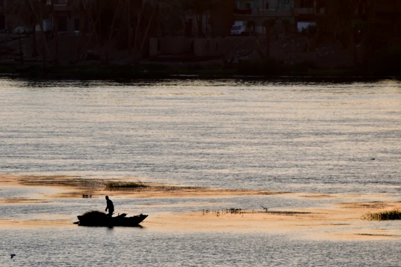 Vincent · 30/04/2023 · 3656 x 2437 Cette photographie met en scène un **oiseau**, probablement un canard, comme sujet principal, posé sur une étendue d’eau peu profonde. La **composition** est épurée, avec un premier plan minimaliste et un arrière-plan flou.Le **cadrage** est serré, centré sur l’animal, créant un effet de solitude. La **lumière**, douce et dorée, suggère un coucher ou lever de soleil, adoucissant les contours. Les **couleurs dominantes** sont des tons chauds (oranges, bruns) et des teintes froides (bleu-gris de l’eau).Le style est **naturel et contemplatif**, évoquant une **ambiance paisible et mélancolique**.