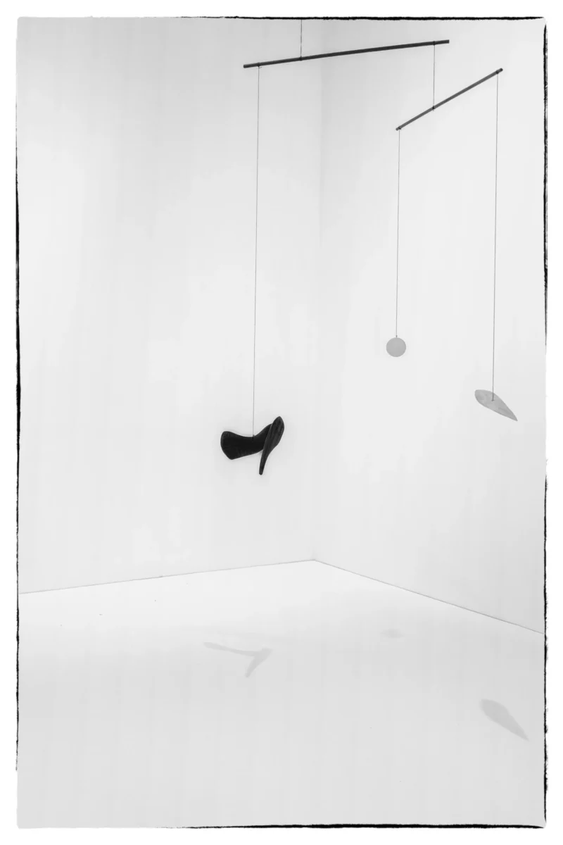 Thierry · 23/05/2026 · 2560 x 3840 Cette photographie met en scène un **chaussure suspendue** comme sujet principal. La composition est épurée, avec des **lignes horizontales et verticales** créées par des fils et des objets géométriques (disques, forme en L).Le **cadrage** est serré, centré sur un espace minimaliste. La **lumière** est douce et uniforme, sans ombre marquée, évoquant un éclairage artificiel ou naturel tamisé. Les **couleurs dominantes** sont en noir et blanc, renforçant le côté minimaliste et abstrait.Le style est **moderne et artistique**, avec une ambiance **sobre et contemplative**, presque onirique.