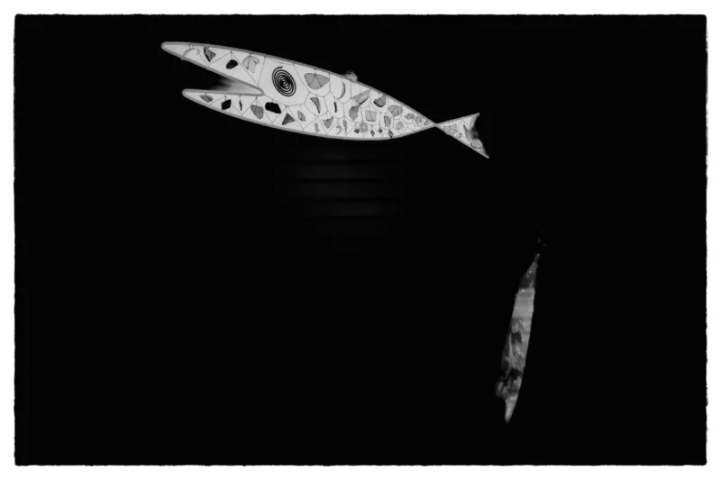 Thierry · 23/05/2026 · 3840 x 2560 Cette photographie met en scène deux poissons stylisés, probablement des sardines, en silhouette.La composition est épurée, avec un cadrage serré centré sur les sujets. Les poissons sont disposés en diagonale, l’un au-dessus et légèrement à gauche, l’autre en bas à droite. La lumière, douce et contrastée, crée un effet dramatique en éclairant les poissons sur fond noir, accentuant leur forme. Les couleurs dominantes sont le blanc et le noir, donnant un style graphique et minimaliste. L’ambiance est à la fois mystérieuse et artistique, évoquant une esthétique épurée et moderne.