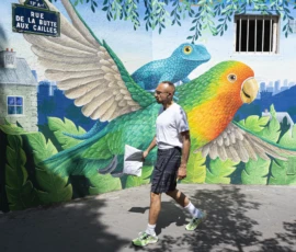 Jean-Yves · 09/05/2026 · 3000 x 2289 Cette photographie montre un homme marchant devant un mural coloré. Le sujet principal est l’homme, vêtu d’un t-shirt noir et de baskets, en mouvement.La composition associe l’homme à une fresque murale représentant deux perroquets stylisés, entourés d’un paysage urbain. Le cadrage est serré sur l’homme, mais inclut le mural en arrière-plan.Les couleurs dominantes sont vives : bleus, verts, jaunes et oranges. La lumière semble naturelle, avec des ombres douces. Le style est artistique et urbain, créant une ambiance joyeuse et dynamique.