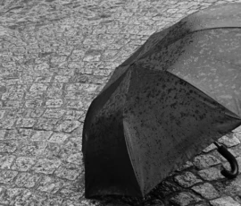 Pierre · 14/05/2026 · 2662 x 1499 Cette photographie met en scène un **parapluie noir** comme sujet principal, posé sur un sol pavé humide. La **composition** est épurée, centrée sur l’objet avec un cadrage serré. La **lumière** semble tamisée, probablement due à une journée pluvieuse, créant des reflets sur le parapluie et les pavés.Les **couleurs dominantes** sont les tons de gris, renforçant une ambiance **monochrome et mélancolique**. Le style est **minimaliste et réaliste**, évoquant une atmosphère calme et légèrement triste, typique d’un jour gris et pluvieux.