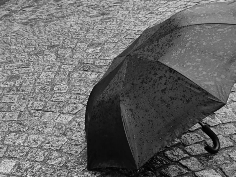 Pierre · 14/05/2026 · 2662 x 1499 Cette photographie met en scène un **parapluie noir** comme sujet principal, posé sur un sol pavé humide. La **composition** est épurée, centrée sur l’objet avec un cadrage serré. La **lumière** semble tamisée, probablement due à une journée pluvieuse, créant des reflets sur le parapluie et les pavés.Les **couleurs dominantes** sont les tons de gris, renforçant une ambiance **monochrome et mélancolique**. Le style est **minimaliste et réaliste**, évoquant une atmosphère calme et légèrement triste, typique d’un jour gris et pluvieux.