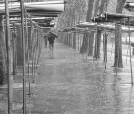 Pierre · 14/05/2026 · 3445 x 1939 Cette photographie en noir et blanc montre un **sujet principal** flou, suggérant une personne marchant dans un couloir couvert. La **composition** repose sur des **poutres parallèles** et des **piliers**, créant un effet de perspective et de profondeur.Le **cadrage** est serré, guidant le regard vers l’horizon. La **lumière** est douce et diffuse, sans contrastes marqués. Les **couleurs dominantes** sont les nuances de gris, renforçant une ambiance **minérale et austère**.Le **style** est sobre et épuré, évoquant une **atmosphère mélancolique** ou contemplative, presque industrielle.
