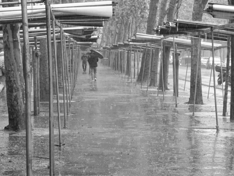 Cette photographie en noir et blanc montre un **sujet principal** flou, suggérant une personne marchant dans un couloir couvert. La **composition** repose sur des **poutres parallèles** et des **piliers**, créant un effet de perspective et de profondeur.Le **cadrage** est serré, guidant le regard vers l’horizon. La **lumière** est douce et diffuse, sans contrastes marqués. Les **couleurs dominantes** sont les nuances de gris, renforçant une ambiance **minérale et austère**.Le **style** est sobre et épuré, évoquant une **atmosphère mélancolique** ou contemplative, presque industrielle.
