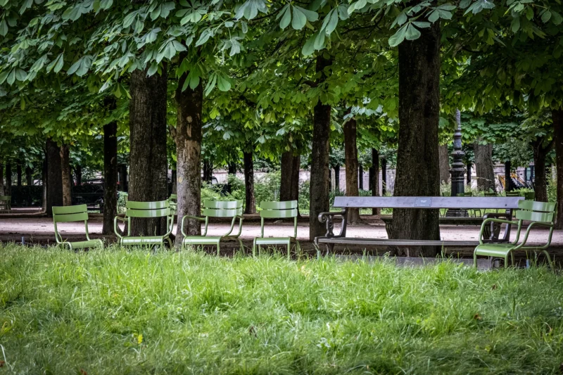 AnJo · 07/05/2026 · 1920 x 1280 Cette photographie met en scène un **parc ombragé** avec des **tables et bancs en bois** comme sujet principal. La **composition** est simple et épurée, avec des lignes horizontales formées par les tables et bancs alignés.Le **cadrage** est serré, centré sur les tables et bancs, avec une profondeur de champ qui floute légèrement l’arrière-plan. La **lumière** est douce et naturelle, filtrée par les feuilles des arbres, créant des ombres légères.Les **couleurs dominantes** sont les verts profonds des arbres et le vert-gris de l’herbe, avec des touches de bois naturel. Le style est **minimaliste et apaisant**, évoquant une **ambiance calme et reposante**, idéale pour une pause en pleine nature.