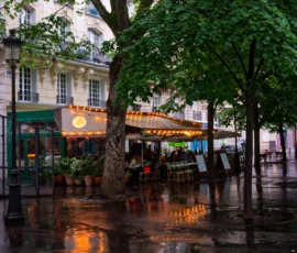 Monique · 17/05/2026 · 3173 x 3040 Cette photographie capture une scène urbaine parisienne sous la pluie. Le sujet principal est un restaurant ou café, identifiable par son enseigne lumineuse "Le Comptoir du Relais" et son auvent vert. La composition met en valeur un arbre imposant au premier plan, encadrant partiellement la vue.Le cadrage est serré, centré sur l’espace extérieur du café, avec une perspective légèrement basse. La lumière est douce et tamisée, typique d’un soir pluvieux, avec des reflets dorés sur le sol mouillé. Les couleurs dominantes sont les tons verts, gris et jaunes chauds.L’ambiance est intimiste et poétique, évoquant une douceur mélancolique et le charme des ruelles parisiennes.