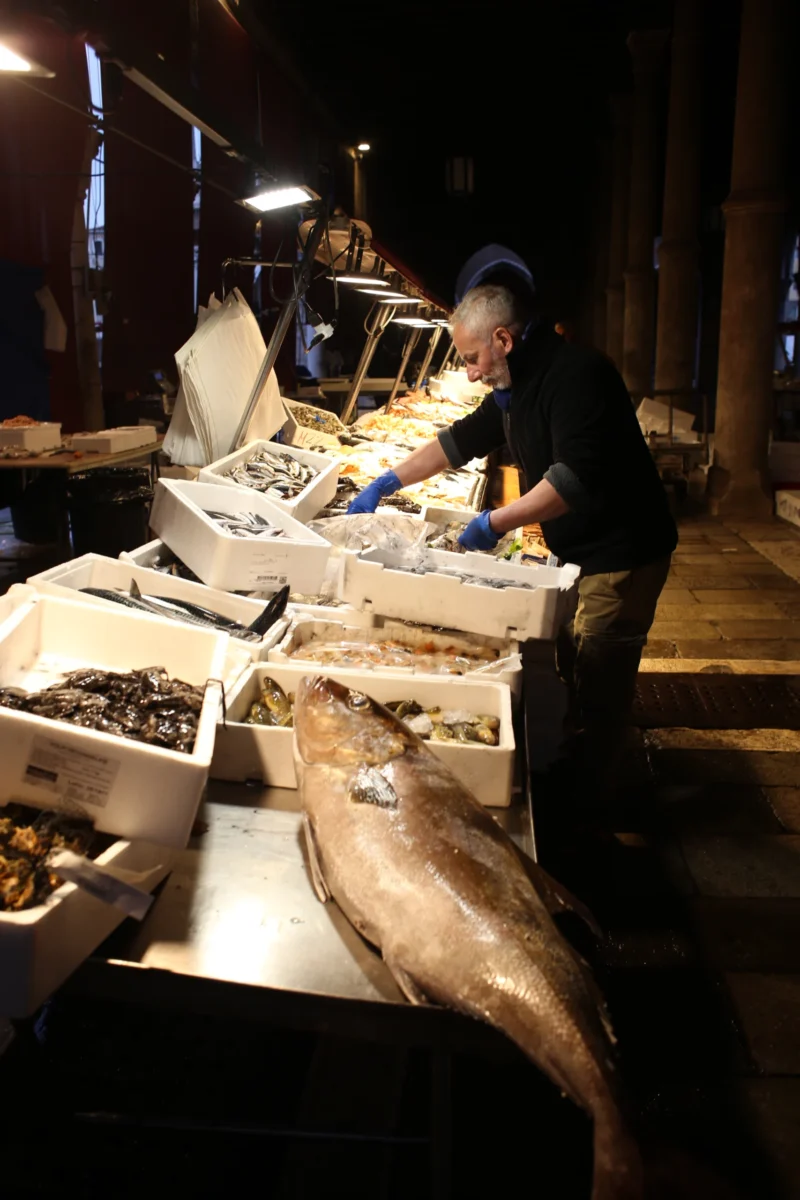 Fabienne · 10/04/2026 · 3648 x 2432 Cette photographie montre des personnes travaillant dans un marché de poisson, probablement de nuit. Le sujet principal est un vendeur manipulant des poissons et des crustacés dans des caisses en polystyrène.La composition est dynamique, avec un cadrage serré sur les produits et les mains des travailleurs. La lumière, artificielle et tamisée, crée des ombres marquées et met en valeur les détails des poissons. Les couleurs dominantes sont des teintes froides (bleus, gris) et des tons blancs et argentés des produits frais.L’ambiance est réaliste et professionnelle, évoquant le labeur nocturne des marchés de poissons.