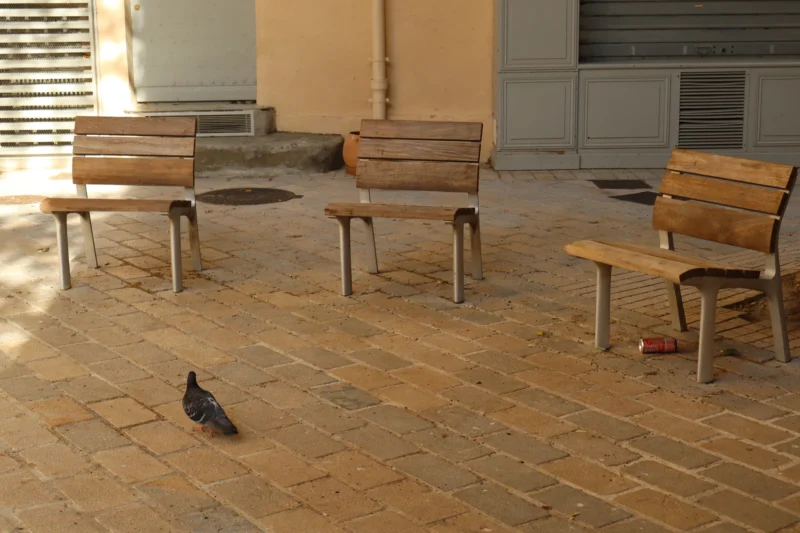 Camilla · 01/05/2026 · 5977 x 3985 Cette photographie met en scène un **pigeon** comme sujet principal, posé sur un sol pavé en terre cuite. La **composition** est simple et épurée, avec trois **chaises en bois** disposées en triangle autour de lui. Le **cadrage** est serré, centré sur l’espace entre les chaises et l’oiseau.La **lumière** naturelle, douce et légèrement rasante, crée des ombres discrètes. Les **couleurs dominantes** sont les tons chauds des pavés et du bois, contrastant avec le gris du pigeon. Le style est **minimaliste et réaliste**, évoquant une **ambiance calme et presque solitaire**, comme un instant de pause dans un lieu public.