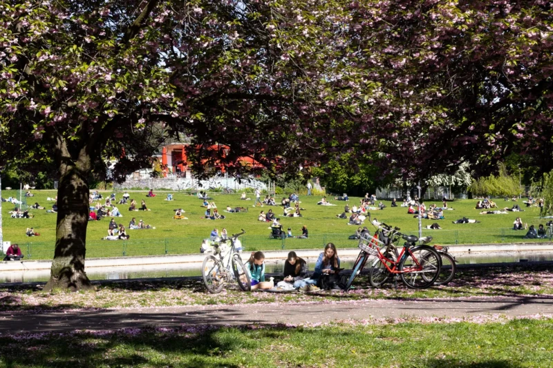Muriel · 30/04/2026 · 2048 x 1365 Cette photographie capture un parc animé en plein air. Le sujet principal est un groupe de vélos alignés sur une pelouse, avec des personnes assises ou allongées autour. La composition montre un cadrage large, incluant un chemin, des arbres et des groupes de gens en arrière-plan.La lumière est naturelle et éclatante, suggérant une journée ensoleillée. Les couleurs dominantes sont les verts de la végétation, les teintes claires des vêtements et les tons chauds du sol. Le style est documentaire et décontracté, évoquant une ambiance détendue et conviviale, typique d’un jour de détente en plein air.
