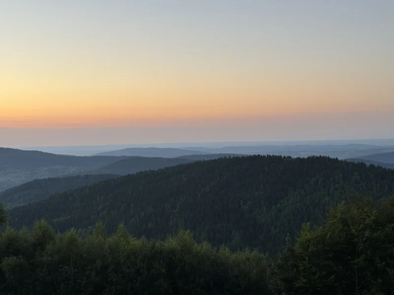 Heike · 06/08/2024 · 4032 x 3024 Cette photographie capture un **paysage naturel** au crépuscule ou à l'aube. Le **sujet principal** est une étendue de forêt dense en contrebas, avec une **horizon lointain** légèrement brumeux. La **composition** est épurée, avec une ligne de crête en premier plan et un ciel dégagé.Le **cadrage** est large, offrant une vue panoramique. La **lumière** douce et dorée crée une ambiance apaisante. Les **couleurs dominantes** sont les tons chauds (orange, rose) du ciel contrastant avec les verts profonds et les bruns de la forêt. Le style est **réaliste et contemplatif**, évoquant la sérénité et la grandeur de la nature.