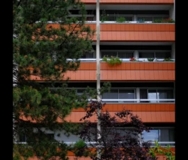 Julia · 09/05/2026 · 1583 x 2814 Cette photographie met en scène un immeuble moderne aux balcons en saillie, partiellement masqué par des arbres feuillus. Le sujet principal est l’architecture, avec ses lignes épurées et ses teintes claires.La composition joue sur le contraste entre la nature (arbres denses) et l’urbanisation. Le cadrage serré et vertical accentue la hauteur de l’immeuble. La lumière, douce et naturelle, semble tamisée, créant des ombres légères.Les couleurs dominantes sont les verts profonds des arbres et les tons beiges/oranges de la façade. Le style est réaliste et sobre, évoquant une ambiance calme et contemporaine.