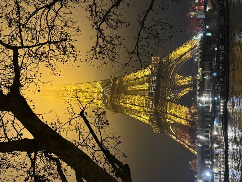 Heike · 13/12/2025 · 5712 x 4284 Cette photographie met en scène la **Tour Eiffel**, sujet principal, illuminée de manière spectaculaire. Le **cadrage** encadre partiellement la tour à travers des **branches d'arbre** en premier plan, ajoutant une touche naturelle et artistique.La **lumière** est douce et dorée, créant une ambiance chaleureuse et mystérieuse. Les **couleurs dominantes** sont les **jaunes et ors** des éclairages, contrastant avec les teintes sombres des branches et du ciel nocturne.Le style est **poétique et romantique**, évoquant une atmosphère onirique et magique, typique des nuits parisiennes.