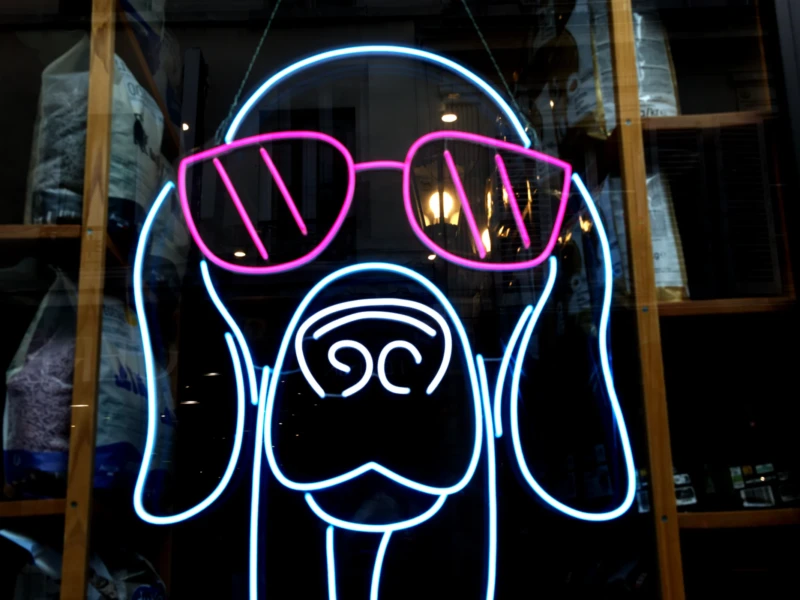 Bao · 6024 x 4016 Cette photographie met en scène un chien stylisé en néon, sujet principal. La composition est épurée, centrée sur l’animal aux yeux exagérés et aux lunettes roses. Le cadrage est serré, isolant le motif lumineux.Les couleurs dominantes sont le bleu électrique du chien et le rose vif des lunettes, créant un contraste saisissant. La lumière, artificielle et néon, donne un aspect futuriste et vibrant.Le style est minimaliste et graphique, évoquant une ambiance nocturne et moderne, presque rétro-futuriste. L’éclairage accentue une atmosphère dynamique et légèrement onirique.