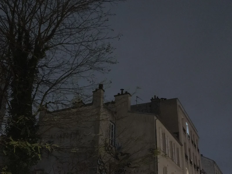 Jean-Philippe · 02/12/2025 · 6392 x 4794 Cette photographie capture un bâtiment ancien en pierre sous un ciel crépusculaire ou nocturne. Le sujet principal est une partie de la façade, incluant des cheminées et des fenêtres.La composition est simple, avec un arbre nu à gauche encadrant partiellement la scène. Le cadrage est serré, mettant en valeur les textures architecturales.Les couleurs dominantes sont des teintes sombres et grises, avec des nuances bleutées dans le ciel. La lumière est faible, créant une ambiance mystérieuse et mélancolique. Le style est réaliste et sobre, évoquant une atmosphère calme et légèrement nostalgique.