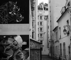 Agnès · 14/05/2026 · 4160 x 6240 Cette photographie en noir et blanc capture une rue étroite et urbaine. Le sujet principal est une fresque murale stylisée, partiellement cachée par une structure en bois, représentant des motifs floraux et organiques.La composition joue sur les lignes verticales des bâtiments et l’angle de vue légèrement incliné. Le cadrage serré met en valeur les détails architecturaux et artistiques. La lumière, douce et diffuse, accentue les contrastes sans être trop marquée.Les tons dominants sont les gris et noirs, renforçant une ambiance à la fois mystérieuse et poétique, typique du street art et de l’esthétique urbaine.