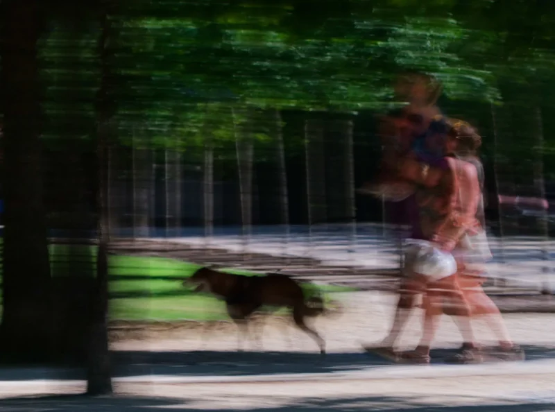 Monique · 28/06/2026 · 4490 x 3335 Cette photographie capture un chien en mouvement rapide, sujet principal flou, suggérant un dynamisme. La composition montre deux personnes en arrière-plan, également floues, marchant près d’un espace vert.Le cadrage est serré sur le chien, avec une profondeur de champ réduite. La lumière semble naturelle, mais le flou de mouvement donne une impression de vitesse et d’énergie. Les couleurs dominantes sont des tons verts (végétation) et des teintes neutres (gris et beige), adoucies par le flou.Le style est artistique, presque abstrait, avec une ambiance vivante et spontanée.