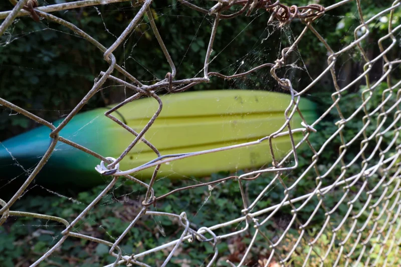 Muriel · 28/06/2026 · 2048 x 1365 Cette photographie met en scène un **banane partiellement cachée** dans un filet de pêche. Le **sujet principal** est la banane, dont la couleur jaune vif contraste avec le filet rouillé et les herbes vertes en arrière-plan.Le **cadrage** est serré, centré sur la banane, avec une légère inclinaison du filet. La **composition** est simple et naturelle, avec un jeu de transparence et d’ombre. La **lumière** semble douce et naturelle, sans ombre marquée, créant une ambiance calme et légèrement mystérieuse. Les **couleurs dominantes** sont le jaune de la banane, le gris rouillé du filet et le vert des feuilles. Le style est **minimaliste et documentaire**, évoquant une scène du quotidien.