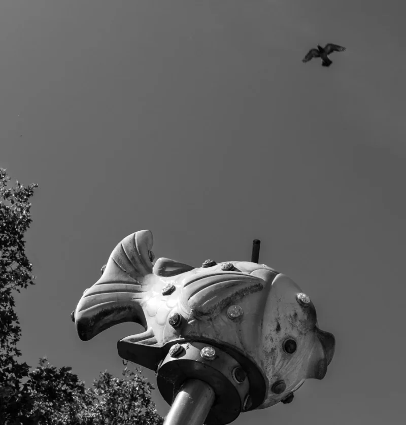 Laurence · 14/06/2026 · 900 x 943 Cette photographie met en scène un **statue de poisson stylisé** en premier plan, avec une **silhouette d'oiseau** en vol dans le ciel.La **composition** oppose un sujet architectural détaillé à un élément naturel aérien. Le **cadrage** est serré sur le poisson, avec un arrière-plan flou et dégagé. La **lumière** est douce, créant des contrastes subtils. Les **couleurs dominantes** sont en noir et blanc, renforçant les textures et les ombres.Le **style** est épuré et artistique, évoquant une **ambiance contemplative et poétique**, mêlant nature et art urbain.