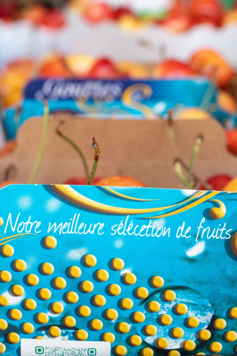 Marc L. · 20/06/2026 · 2419 x 3628 Cette photographie met en avant une sélection de fruits, notamment des oranges et des clémentines, disposés dans des emballages colorés. Le sujet principal est un panier bleu contenant des clémentines, avec une étiquette indiquant "Notre meilleure sélection de fruits".La composition est dynamique, avec des fruits variés en arrière-plan. Le cadrage est serré sur le panier avant, créant un effet de profondeur. La lumière est douce et naturelle, mettant en valeur les couleurs vives. Les teintes dominantes sont le bleu, l'orange et le marron, apportant une ambiance chaleureuse et festive. Le style est épuré et commercial, évoquant un marché ou une épicerie fine.