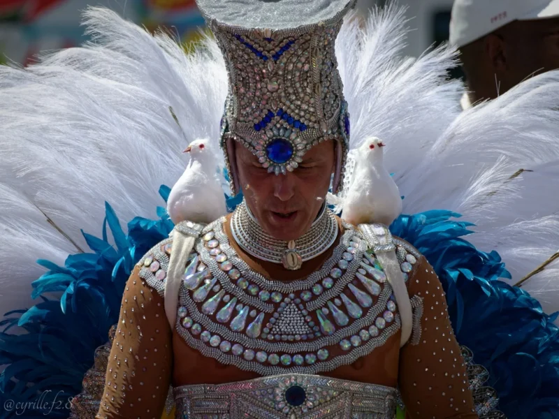 Cyrille · 05/07/2026 · 1200 x 900 Cette photographie met en scène une personne vêtue d’un costume de carnaval somptueux. Le sujet principal est un défilé de carnaval, avec une tenue riche en plumes blanches et bleues, paillettes et bijoux scintillants.Le cadrage est serré, centré sur le visage et la coiffe ornée. La lumière semble naturelle et met en valeur les détails brillants du costume. Les couleurs dominantes sont le blanc, le bleu et les touches argentées.Le style évoque l’opulence et la fête, typique des défilés carnavalesques. L’ambiance est festive, joyeuse et théâtrale, reflétant l’énergie et la célébration.