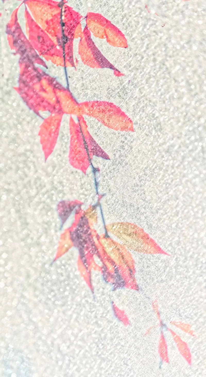 Monique · 23/07/2026 · 1048 x 1920 Cette photographie met en valeur des feuilles automnales comme sujet principal. La composition est simple et épurée, avec un cadrage serré sur quelques feuilles attachées à une tige fine. La lumière semble douce et naturelle, créant des ombres subtiles.Les couleurs dominantes sont des teintes automnales : rouge, orange et quelques touches de vert pâle. Le style est minimaliste et presque aquarellé, avec des contours flous et une texture légèrement estompée. L’ambiance est calme et poétique, évoquant la beauté éphémère de l'automne.
