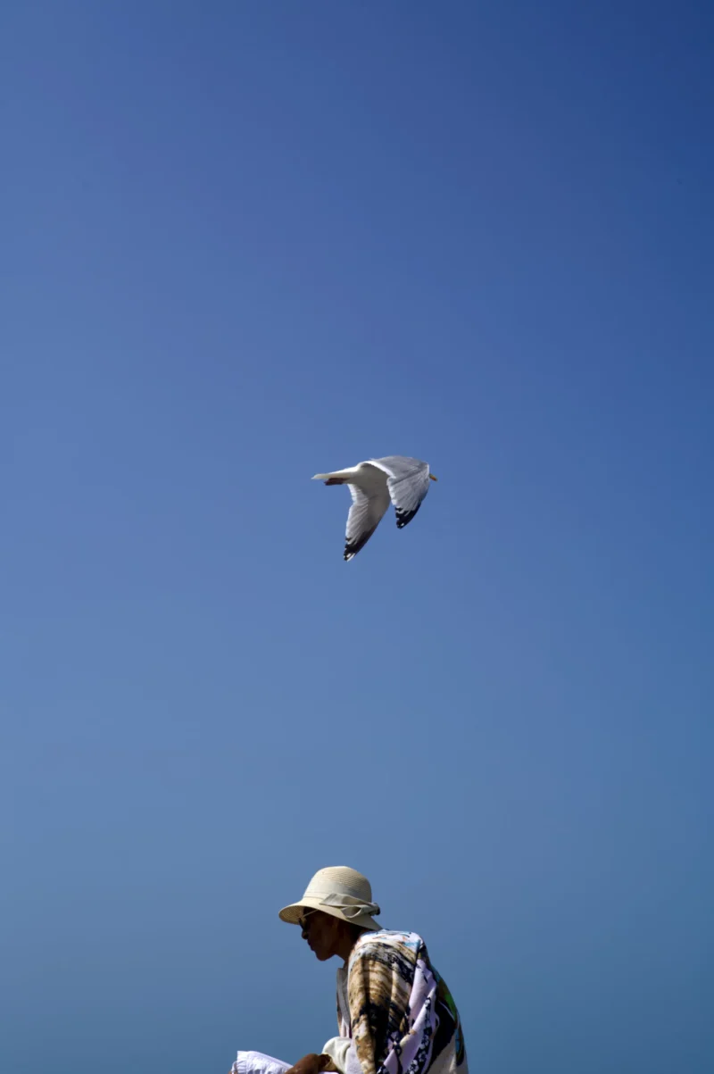 Thomas · 18/07/2026 · 2724 x 4096 Un homme en chapeau et vêtements clairs observe un oiseau en vol contre un ciel bleu dégagé.