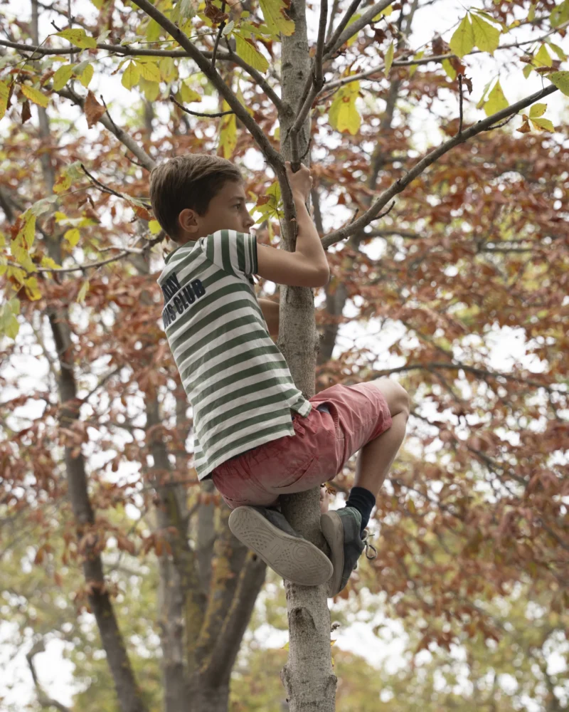 Alice · 26/09/2026 · 3072 x 3840 Un enfant grimpe à un arbre dans un environnement boisé avec des feuilles automnales, en tenue décontractée.