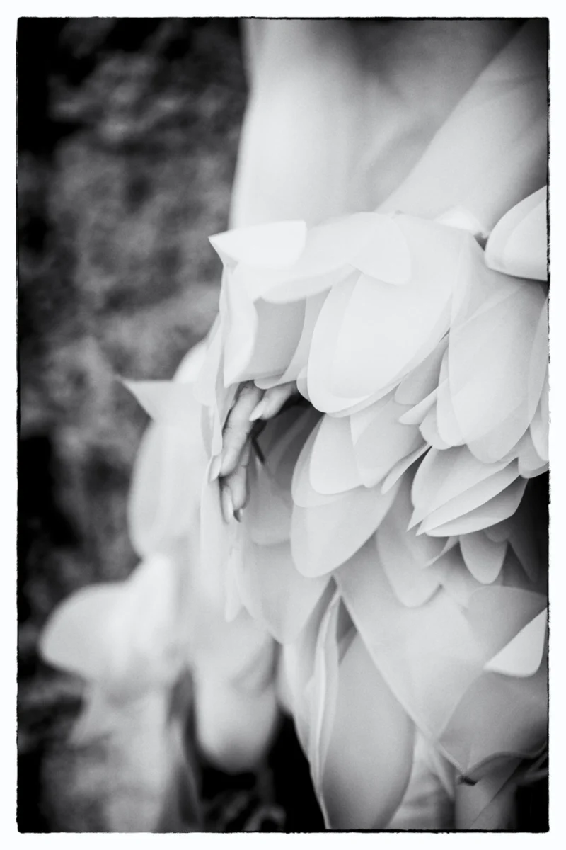 Détail d'une robe à volants blancs et broderies florales en gros plan, ambiance douce et élégante