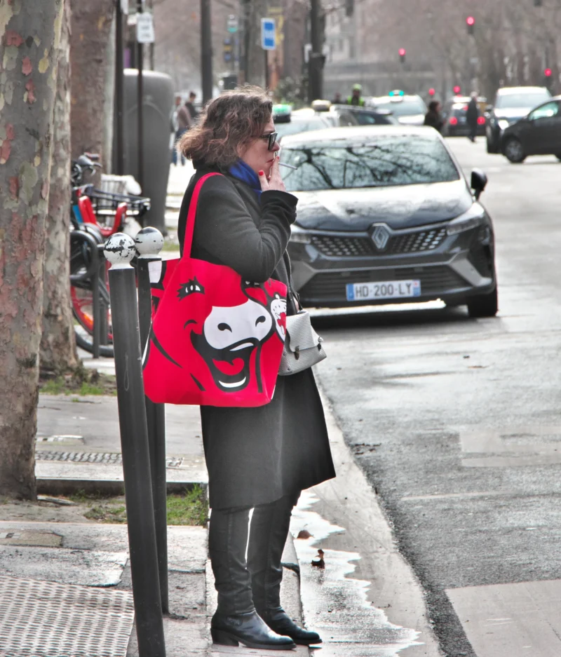 Jean paul · 30/01/2026 · 2049 x 2400 Une personne debout sur un trottoir en ville, utilisant son téléphone, avec un sac rouge à motif de tête de vache et