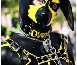 Thierry · 03/10/2026 · 1600 x 2400 Personne vêtue d'un costume noir et jaune imitant un chien de garde avec des chaînes et des éléments métalliques, vue