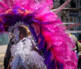Marc · 03/10/2026 · 1080 x 1080 Personne vêtue d'un costume extravagant aux plumes roses et blanches participant à une parade festive, vue de dos.